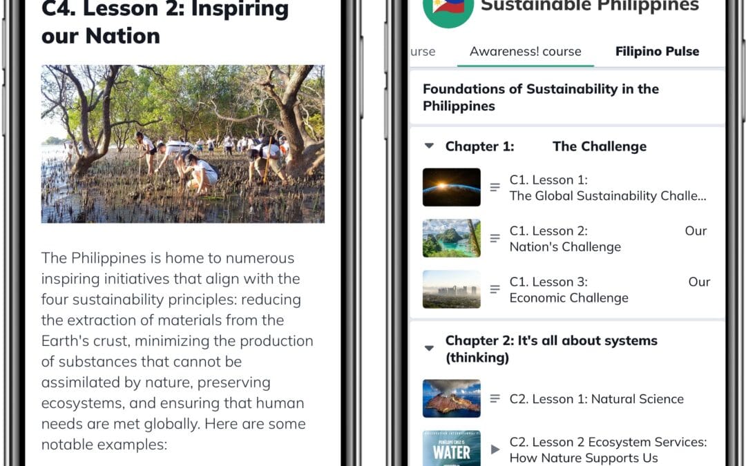 From ESG to Strategic Sustainability