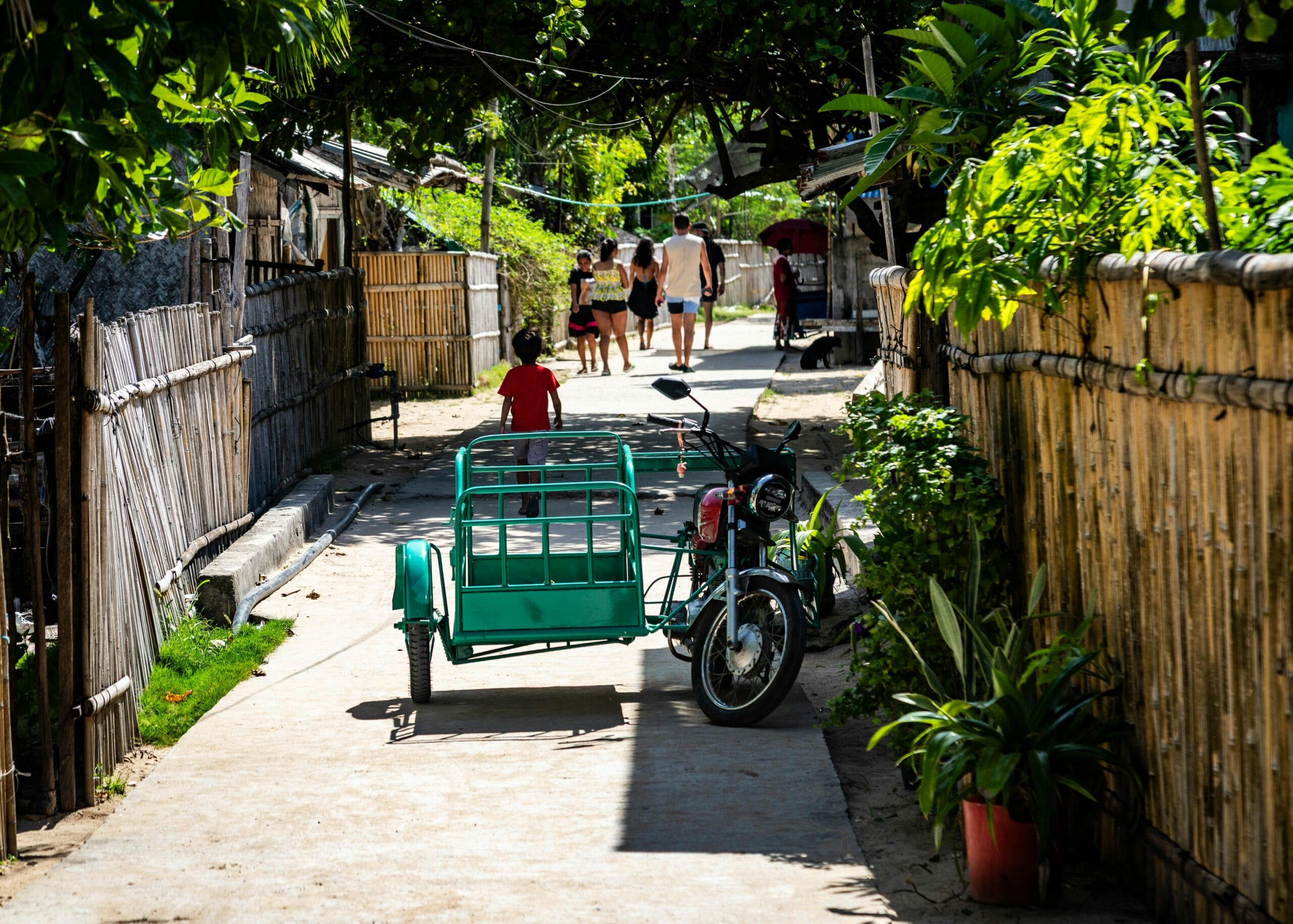 bernd-dittrich-ZlCS6aLT3Hc-unsplash