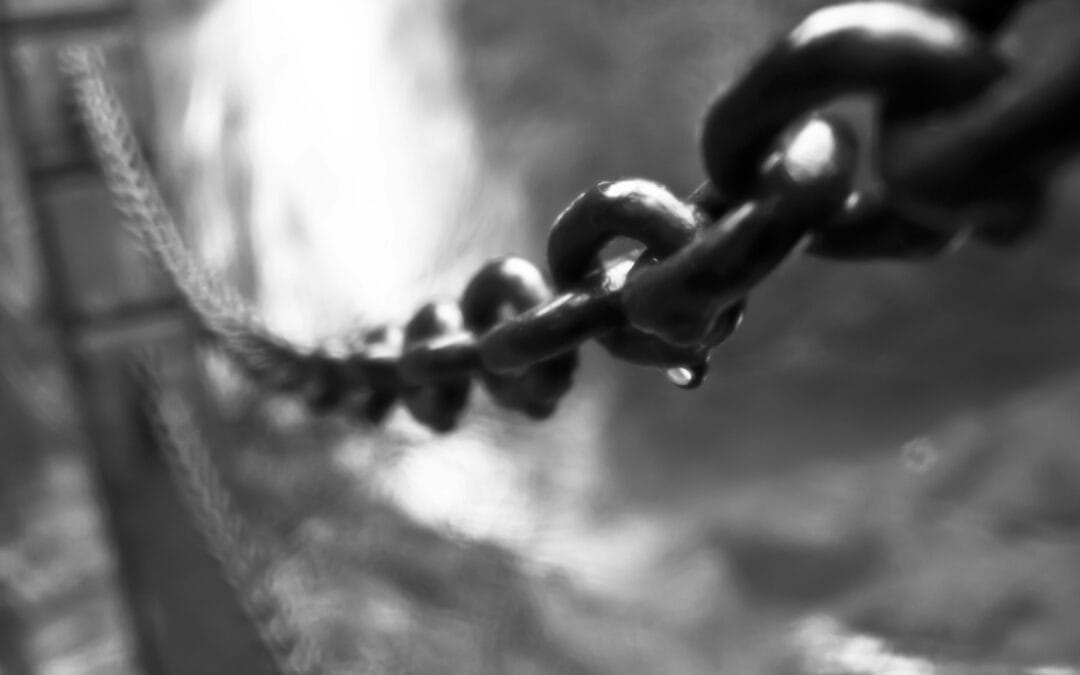 Een cultuur van duurzaamheid moet je voeden, en kun je meten