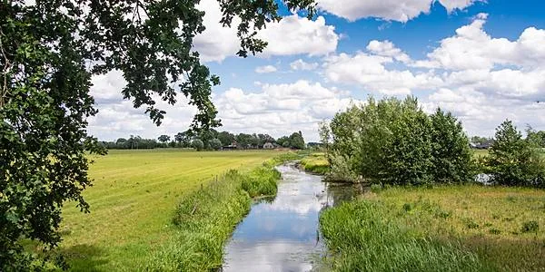 Illustratie bij Duurzaamheid in tien minuten